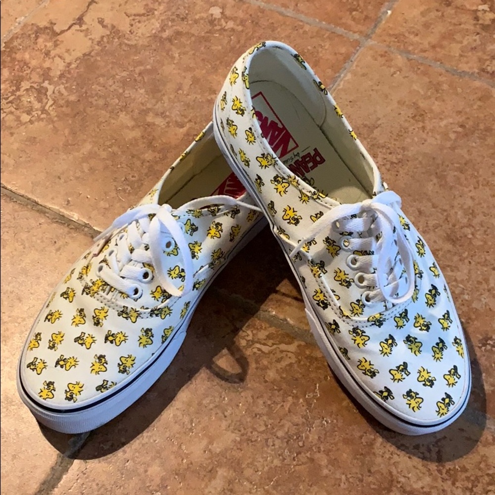 RARE Vans Woodstock skate shoes